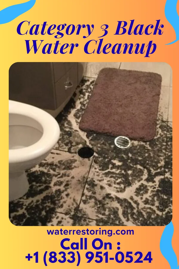 Category 3 Black Water Cleanup in Blythewood, SC