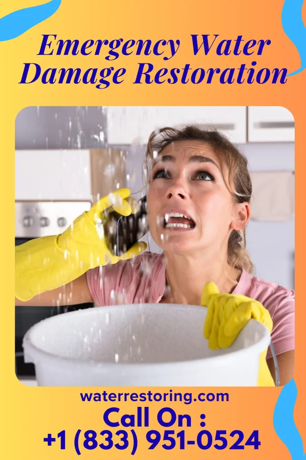 Emergency Water Damage Restoration in Blythewood, SC