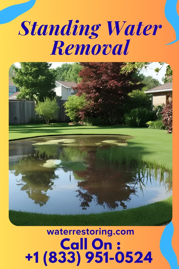 Standing Water Removal in Blythewood, SC